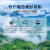 【云南农科院技术支持】西谷野禾 有机葛根粉 血管清道夫 双有机认证 250g/罐 商品缩略图10