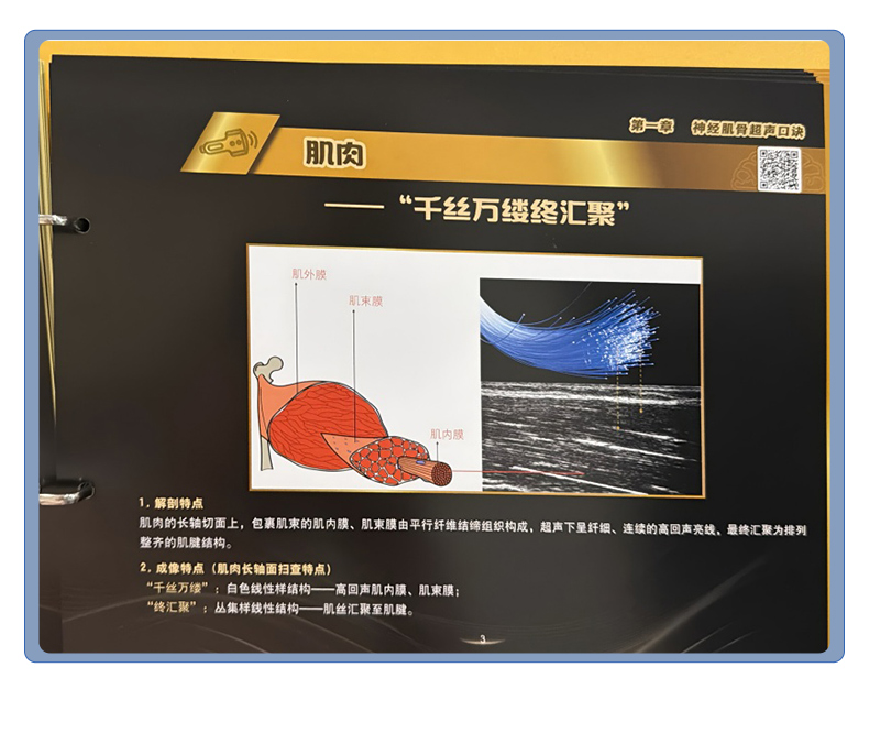 西医01_10.jpg