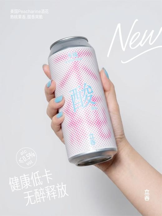 立吞 不纯酸IPA 500ml 商品图1
