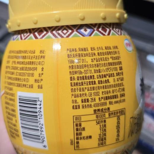 伊利520g呼伦贝尔宫酪奶皮子酸奶 商品图1
