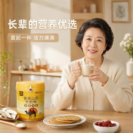 怀府街 | 铁棍山药驼奶粉 先清后养驼奶液体黄金600g/罐 商品图5