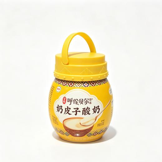 伊利520g呼伦贝尔宫酪奶皮子酸奶 商品图0