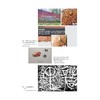 浙江舞蹈通史/浙江文献集成/吴露生/浙江大学出版社 商品缩略图1