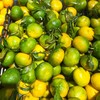 清香茶桔（500±50g） 商品缩略图1