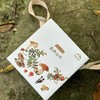 云南  油鸡枞【鲜嫩&干香版本】 商品缩略图6