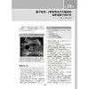 经典影像学实用教程 第5五版 翻译版附视频 何波 谢晓洁 杨磊 主译 西医 放射医学 临床医学 9787117395557 人民卫生出版社 商品缩略图4