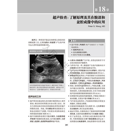 经典影像学实用教程 第5五版 翻译版附视频 何波 谢晓洁 杨磊 主译 西医 放射医学 临床医学 9787117395557 人民卫生出版社 商品图4
