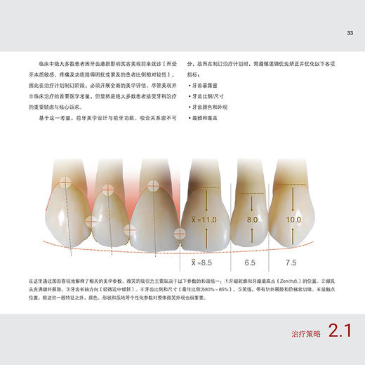 牙齿磨损控制与微创修复 周炜 主译 系统构建了牙齿磨损诊疗从评估诊断到修复维护的完整知识体系9787559145840辽宁科学技术出版社 商品图2