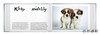 【现货】Rescue Me: Dog Adoption Portraits and Stories from New York City / 救救我：纽约市狗狗领养肖像与故事 商品缩略图2