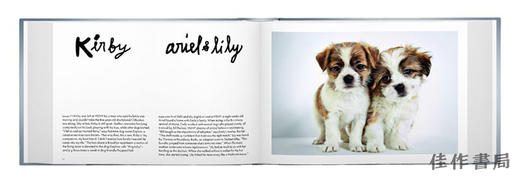 【现货】Rescue Me: Dog Adoption Portraits and Stories from New York City / 救救我：纽约市狗狗领养肖像与故事 商品图2