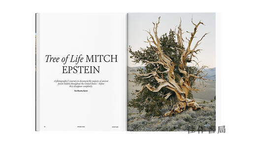 【现货】Aperture No. 262  Spring 2026: The End of Nature? / 光圈杂志第262期，2026年春季刊：自然的终结？ 商品图1