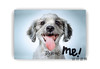 【现货】Rescue Me: Dog Adoption Portraits and Stories from New York City / 救救我：纽约市狗狗领养肖像与故事 商品缩略图0