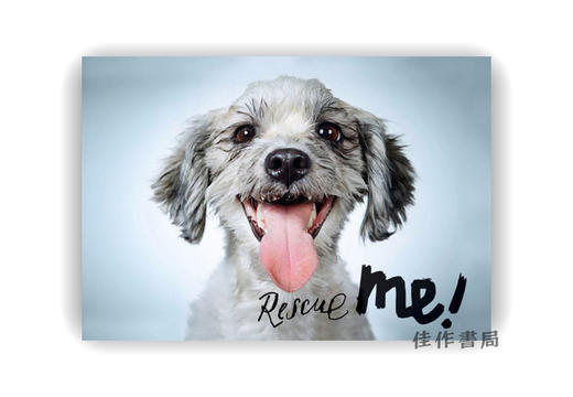 【现货】Rescue Me: Dog Adoption Portraits and Stories from New York City / 救救我：纽约市狗狗领养肖像与故事 商品图0