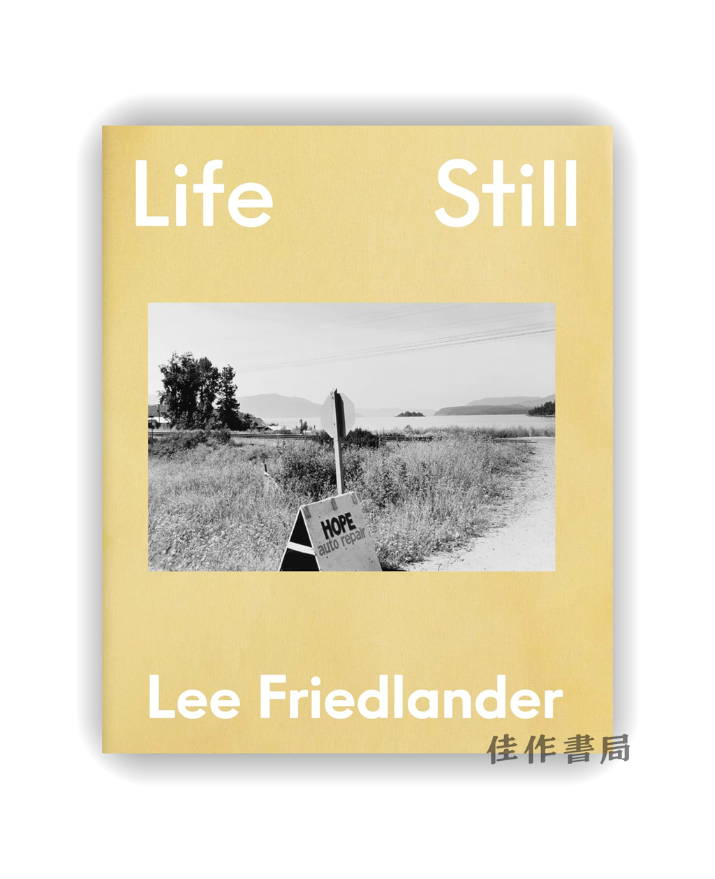 【现货】Lee Friedlander: Life Still / 李·弗里德兰德：静物