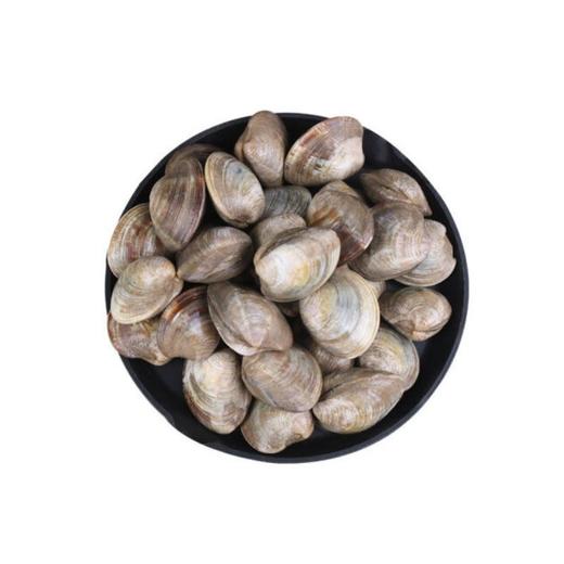 【鲜活】美贝（袋）（约1300g） 商品图0