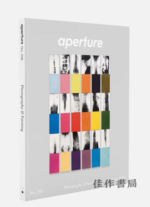 【现货】Aperture No. 258  Spring 2025: Photography & Painting / 光圈杂志第258期，2025年春季刊：摄影与绘画 商品图1