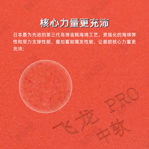 YASAKA亚萨卡飞龙pro乒乓球胶皮套胶高弹内能涩性正手用涩性反胶套胶 商品图3