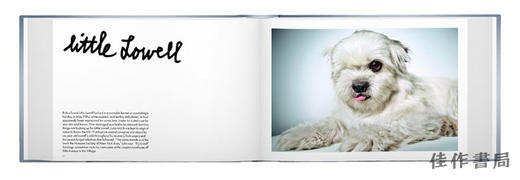 【现货】Rescue Me: Dog Adoption Portraits and Stories from New York City / 救救我：纽约市狗狗领养肖像与故事 商品图3