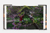 【现货】Alex Webb and Rebecca Norris Webb: Brooklyn  The City Within / 亚历克斯·韦伯 和 丽贝卡·诺里斯·韦伯：布鲁克林，内在之城 商品缩略图4