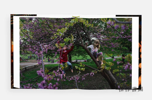【现货】Alex Webb and Rebecca Norris Webb: Brooklyn  The City Within / 亚历克斯·韦伯 和 丽贝卡·诺里斯·韦伯：布鲁克林，内在之城 商品图4