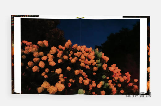 【现货】Alex Webb and Rebecca Norris Webb: Brooklyn  The City Within / 亚历克斯·韦伯 和 丽贝卡·诺里斯·韦伯：布鲁克林，内在之城 商品图2