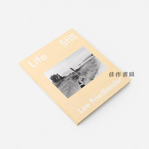 【现货】Lee Friedlander: Life Still / 李·弗里德兰德：静物 商品图1