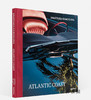 【现货】Anastasia Samoylova: Atlantic Coast  Photographs along Route 1 / 阿纳斯塔西娅·萨莫伊洛娃：大西洋海岸，1号公路沿线摄影 商品缩略图1