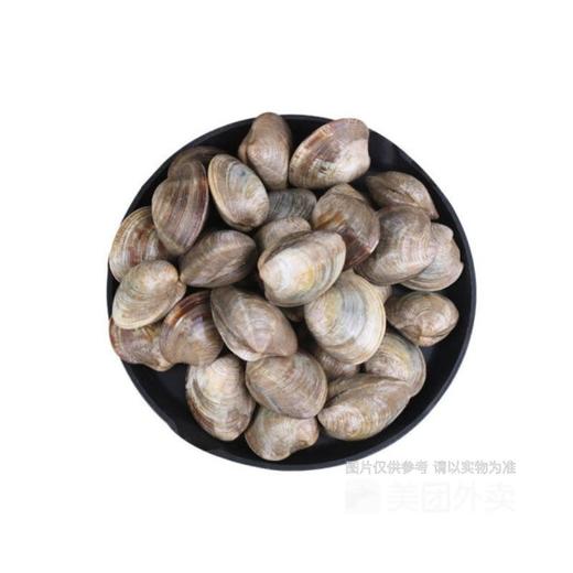 【鲜活】美贝（袋）（约1300g） 商品图1