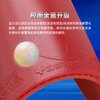 YASAKA亚萨卡飞龙pro乒乓球胶皮套胶高弹内能涩性正手用涩性反胶套胶 商品缩略图2