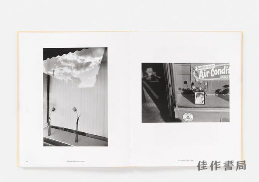 【现货】Lee Friedlander: Life Still / 李·弗里德兰德：静物 商品图4