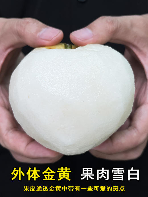 热卖！爆汁！博望黄金梨 净重8.5斤 新鲜当季水果 礼盒装 顺丰包邮 商品图6