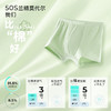 【儿童内裤】森林棠新款男童女童吸湿透气5A抑菌莫代尔内裤三条装43762021 商品缩略图3
