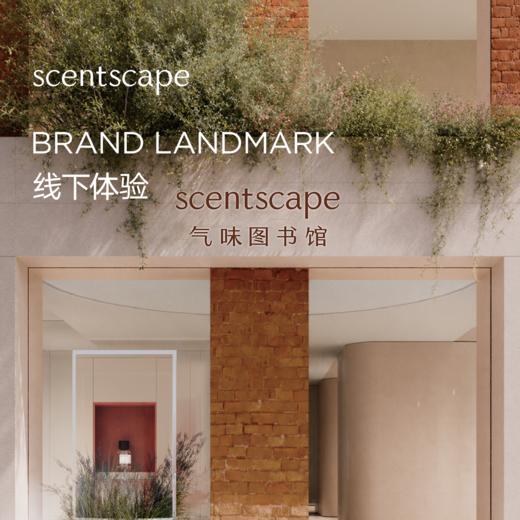 scentscape气味图书馆【洗护合集】香氛云感沐浴露250ml/香氛水光润肤乳250ml 商品图4
