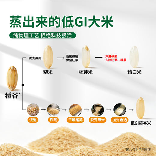 【慢升糖指数大米】小岗低GI蒸谷米 低脂又饱腹 中老年健身族孕期推荐 稻谷原色米粒淡黄 谷香浓郁Q弹劲道 商品图3