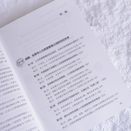 AI时代的战略人力资源管理与数字化决策 人力资源管理数字化转型企业管理书籍 商品图2