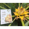 昆明植物园常见植物图鉴 商品缩略图2