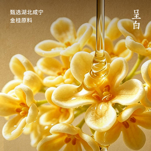 呈白金桂线香 满堂皆桂香气悠悠 百万鲜桂花凝1公斤桂花浸膏 冥想抄经静心养气净化空间异味【礼盒款：线香+线插】 商品图1