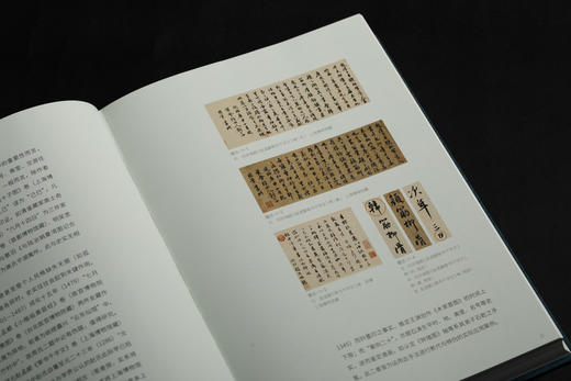 《书画鉴定十论》上海博物馆编，凌利中著 商品图10