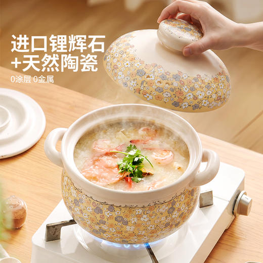 摩登主妇砂锅煲家用燃气灶专用耐高温干烧不裂煲仔饭煲汤陶瓷炖锅 商品图1