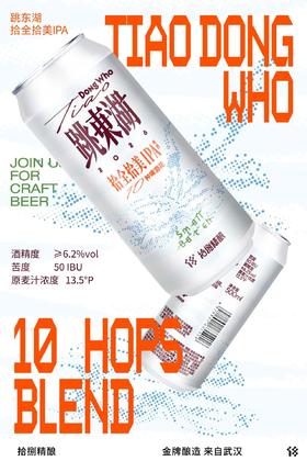 拾捌精酿 跳东湖·拾全拾美IPA 500ml