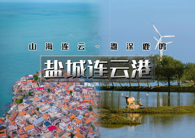 中秋3天｜盐城连云港｜江苏版里约热内卢海上云台山-连岛の黄海野鹿荡夕阳寻鹿-盐城夜景