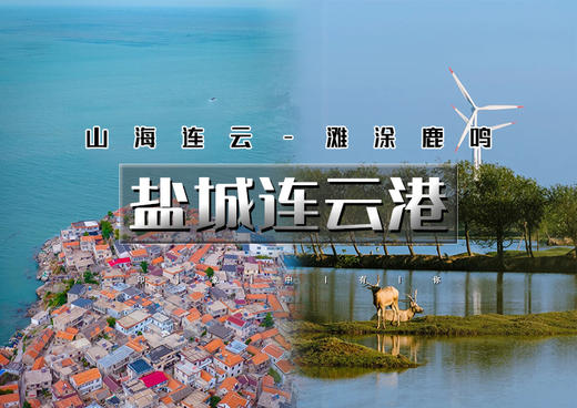 中秋3天｜盐城连云港｜江苏版里约热内卢海上云台山-连岛の黄海野鹿荡夕阳寻鹿-盐城夜景 商品图0