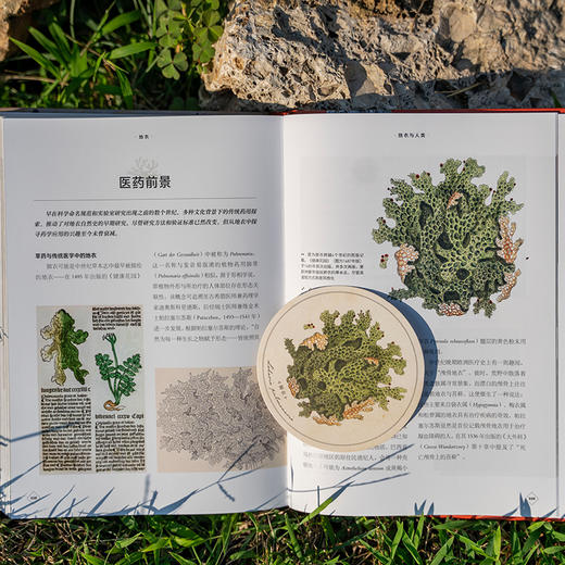 普林斯顿大学生物图鉴：地衣，结合数百幅微观摄影讲述地衣及其生态学特征 生态学微观世界科普图鉴 商品图5