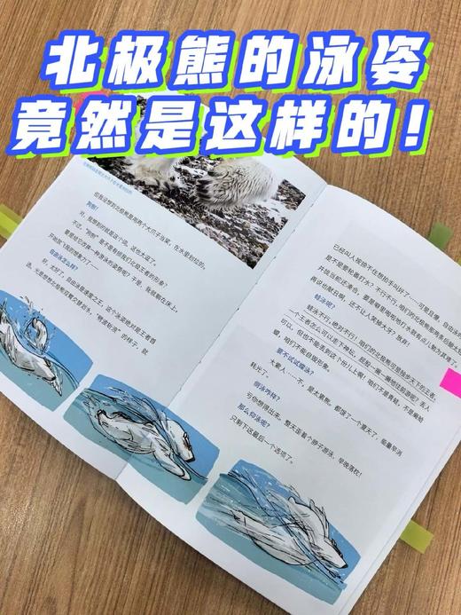 【10岁+】《去北极！看那只敲窗的熊》（彭懿亲签+盖纪念印章） 商品图2