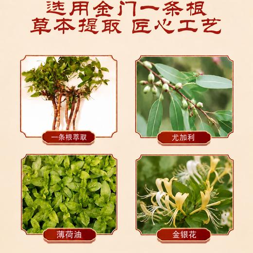【中国台湾原装】植英房·金门一条根·精油贴布 10贴/袋 商品图3