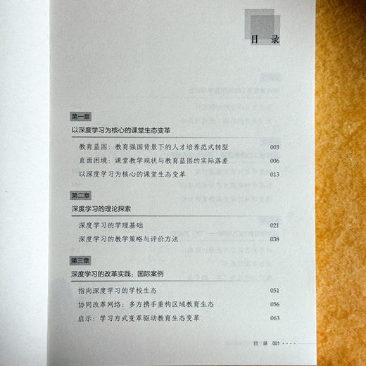 深度学习的课堂生态 成为“学”的专家 大夏书系 教师专业发展 商品图6