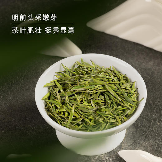 【2026春茶】东裕茗茶 秦岭高山精品仙毫50克磨砂罐装 商品图4