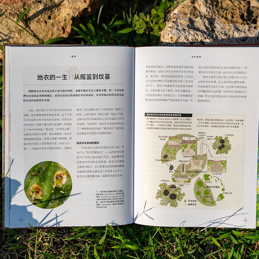 普林斯顿大学生物图鉴：地衣，结合数百幅微观摄影讲述地衣及其生态学特征 生态学微观世界科普图鉴 商品图2