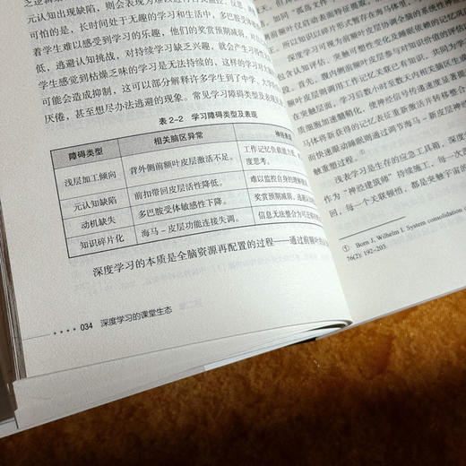 深度学习的课堂生态 成为“学”的专家 大夏书系 教师专业发展 商品图10