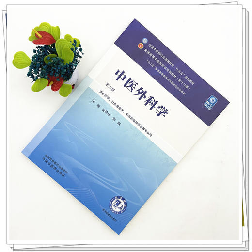 中医外科学 裴晓华 刘胜 主编 全国中医药行业高等教育十五五规划教材第十二版 中国中医药出版社 书籍 商品图1